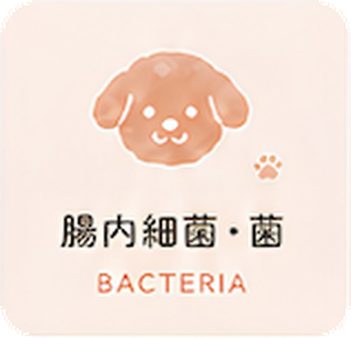 腸内細菌・菌 Bacteria