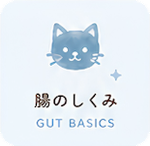 腸のしくみ Gut Basics